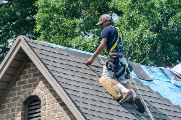 Best Roof Waterproofing Services  in Dunstan, ME